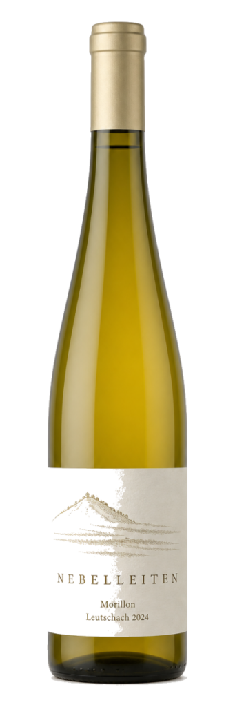 Morillon Leutschach 2024 vom Weingut Nebelleiten